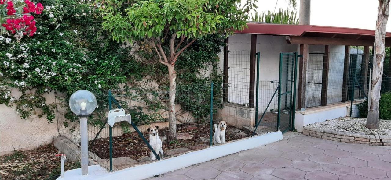Vacanze Estive SalentOK n 150 Galatone Esterno foto